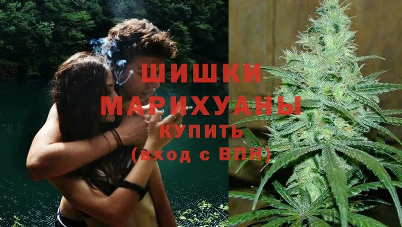 нарко площадка телеграм  купить  сайты  Демидов  Бошки марихуана White Widow 